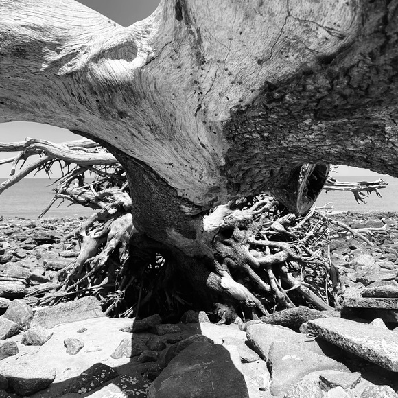 🙋🏻 Posh Ambassador - Picture 4 of 17